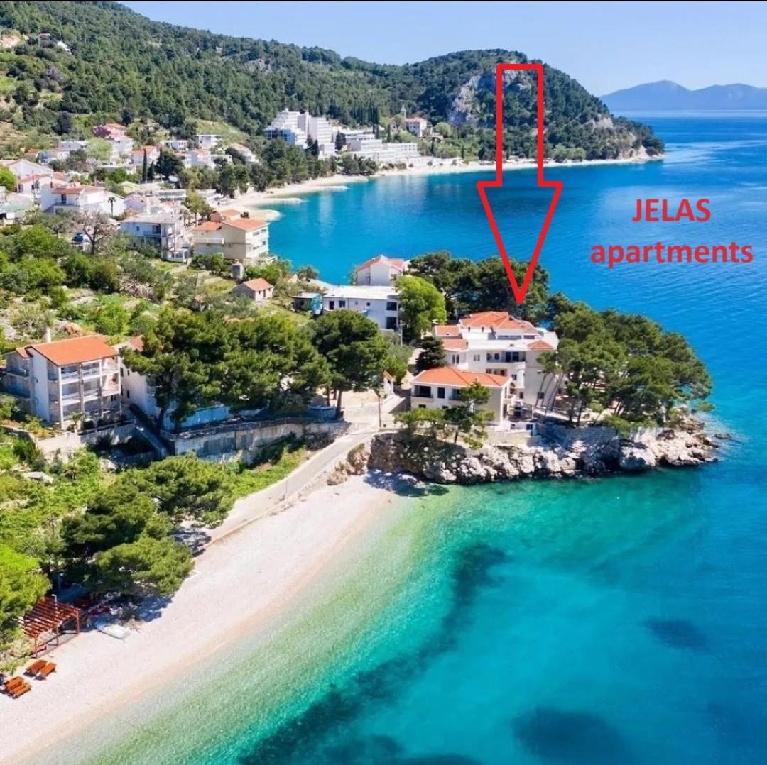 Apartment Jelas Živogošće Exteriér fotografie