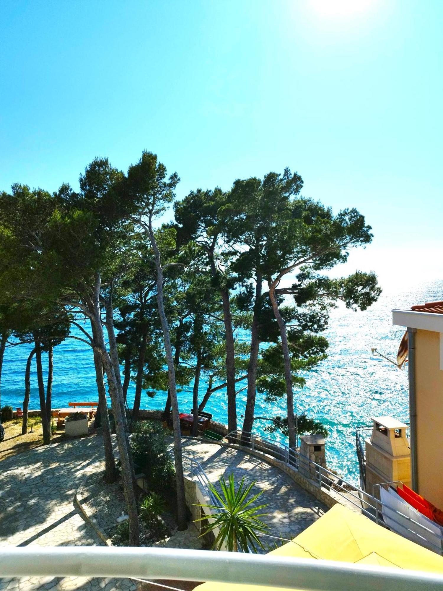Apartment Jelas Živogošće Exteriér fotografie